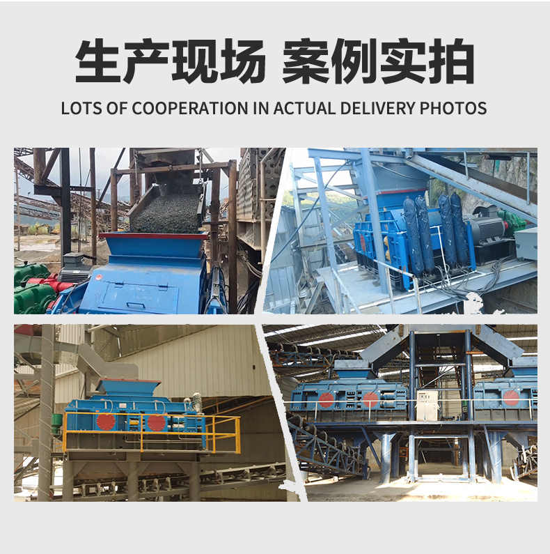 石油焦对辊破碎机